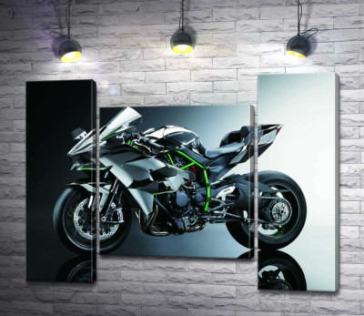 Модульна картина "Чорний блиск мотоцикла Kawasaki Ninja"