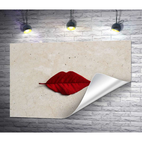 Красный листик в форме губок лежит на мраморном полу