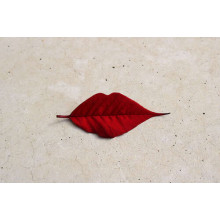 Красный листик в форме губок лежит на мраморном полу