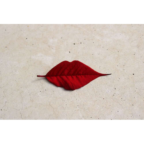 Червоний листочок у формі губок лежить на мармуровій підлозі