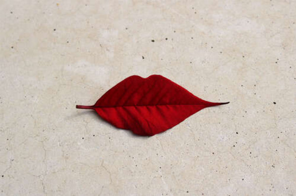 Червоний листочок у формі губок лежить на мармуровій підлозі
