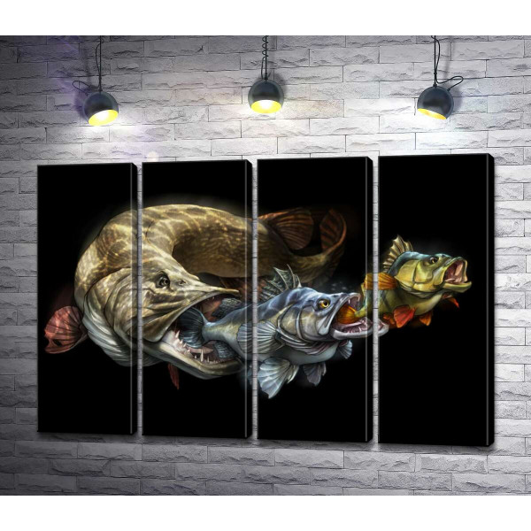 Цепь питания рыб на постере к программе "Savage Gear Fish"