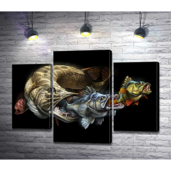 Цепь питания рыб на постере к программе "Savage Gear Fish"