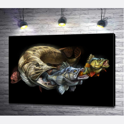 Цепь питания рыб на постере к программе "Savage Gear Fish"