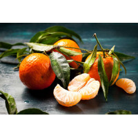 Оранжевые поверхности пахучих мандаринов под зеленью листочков