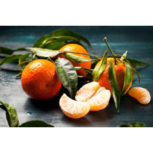 Оранжевые поверхности пахучих мандаринов под зеленью листочков