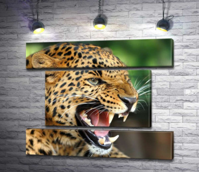 Модульна картина "Розлючений ягуар скалить зуби"