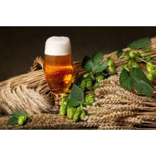 Келих бурштинового пива серед снопів пшениці, ячменю та зелених голівок хмелю