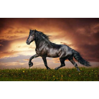 Вороной конь скачет по зеленой траве на фоне грозовых облаков