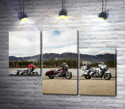 Модульная картина "Три мотоцикла Harley-Davidson Road Glide стоят на берегу реки"