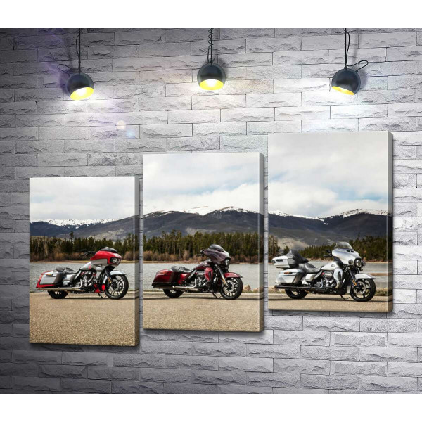 Три мотоцикла Harley-Davidson Road Glide стоят на берегу реки
