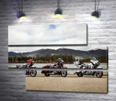 Модульная картина "Три мотоцикла Harley-Davidson Road Glide стоят на берегу реки"