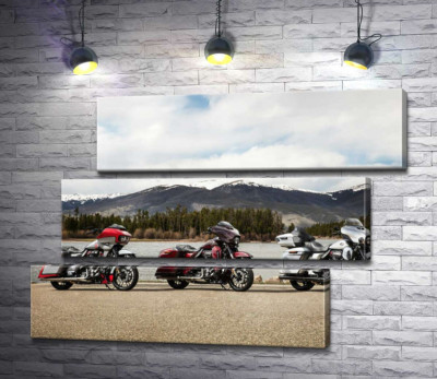 Модульная картина "Три мотоцикла Harley-Davidson Road Glide стоят на берегу реки"