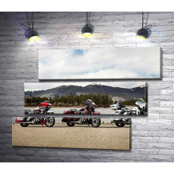 Три мотоцикли Harley-Davidson Road Glide стоять на березі річки