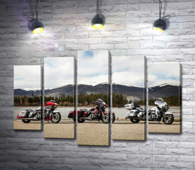 Модульная картина "Три мотоцикла Harley-Davidson Road Glide стоят на берегу реки"
