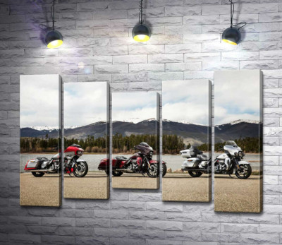 Модульна картина "Три мотоцикли Harley-Davidson Road Glide стоять на березі річки"