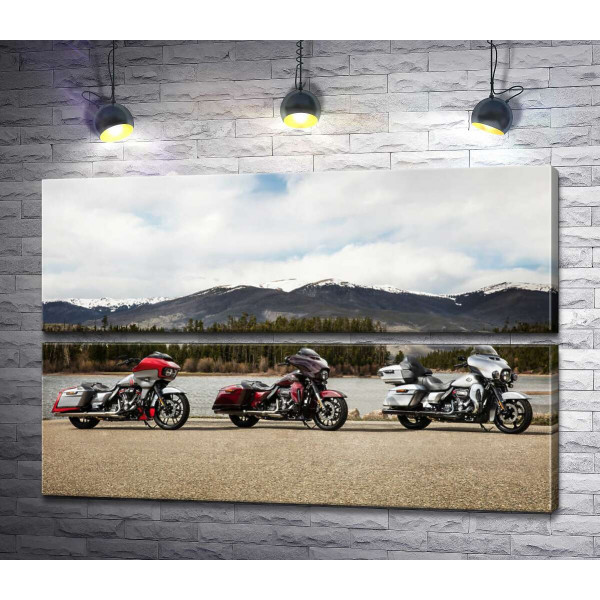 Три мотоцикли Harley-Davidson Road Glide стоять на березі річки