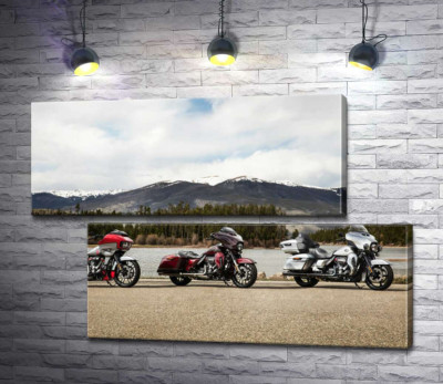 Модульна картина "Три мотоцикли Harley-Davidson Road Glide стоять на березі річки"