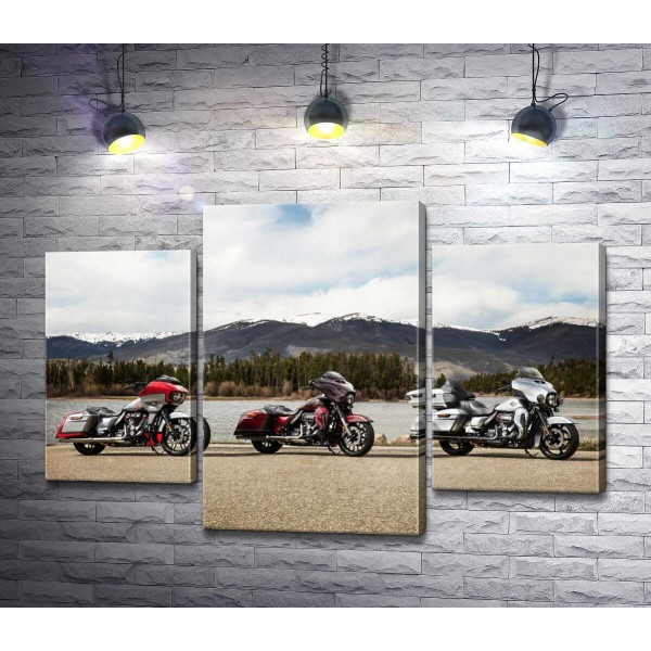 Три мотоцикла Harley-Davidson Road Glide стоят на берегу реки