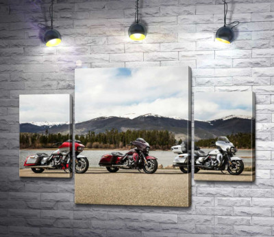 Модульна картина "Три мотоцикли Harley-Davidson Road Glide стоять на березі річки"