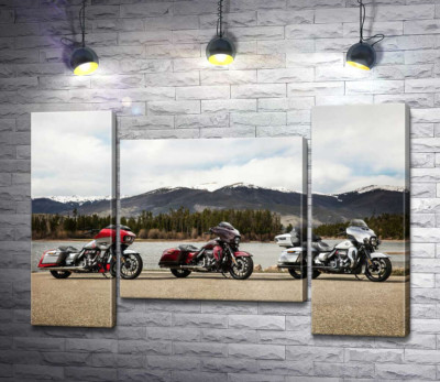 Три мотоцикла Harley-Davidson Road Glide стоят на берегу реки