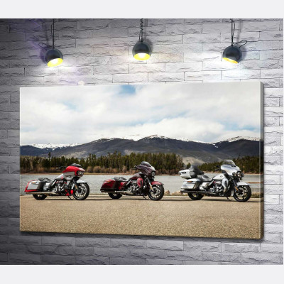 Три мотоцикли Harley-Davidson Road Glide стоять на березі річки