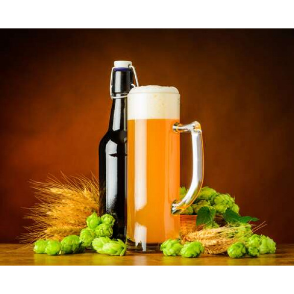 Стрункий келих та пляшка пива поряд з колоссям пшениці та хмелем