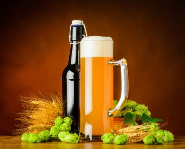 Стройный бокал и бутылка пива рядом с колосьем пшеницы и хмелем