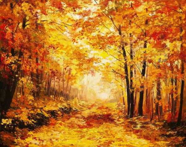 Лісова дорога шурхотить килимом осіннього листя