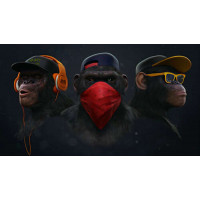 Портреты горилл "на стиле"