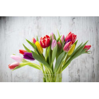 Цветной букет весенних тюльпанов