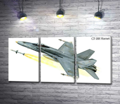 Канадский многоцелевой истребитель McDonnell Douglas CF-18 Hornet