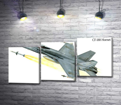 Канадский многоцелевой истребитель McDonnell Douglas CF-18 Hornet