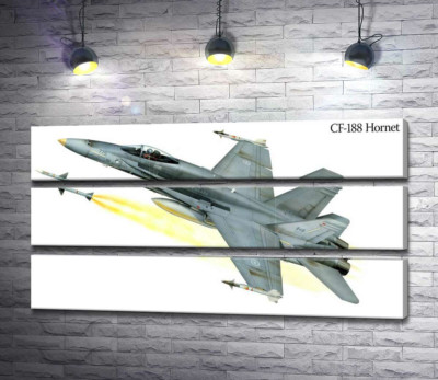 Модульна картина "Канадський багатоцільовий винищувач McDonnell Douglas CF-18 Hornet"