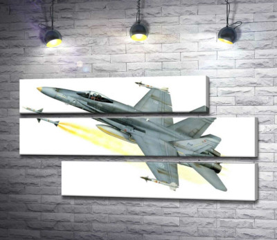 Канадський багатоцільовий винищувач McDonnell Douglas CF-18 Hornet