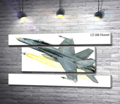 Модульна картина "Канадський багатоцільовий винищувач McDonnell Douglas CF-18 Hornet"