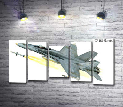 Канадський багатоцільовий винищувач McDonnell Douglas CF-18 Hornet