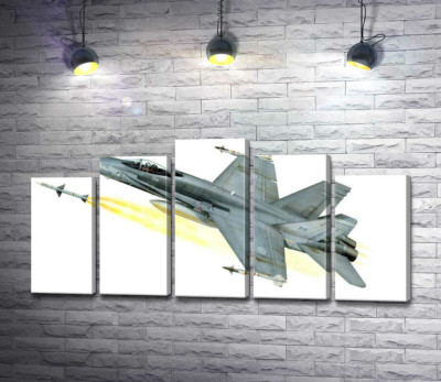Канадський багатоцільовий винищувач McDonnell Douglas CF-18 Hornet