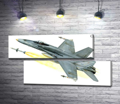Модульна картина "Канадський багатоцільовий винищувач McDonnell Douglas CF-18 Hornet"