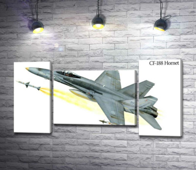 Канадський багатоцільовий винищувач McDonnell Douglas CF-18 Hornet