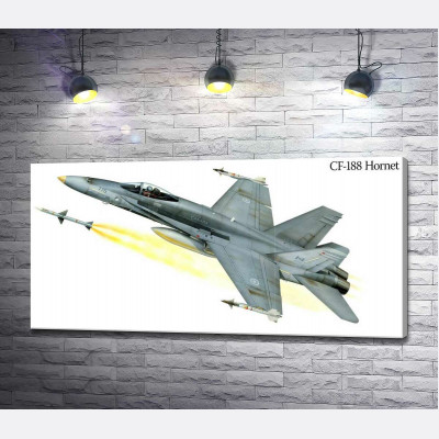 Канадський багатоцільовий винищувач McDonnell Douglas CF-18 Hornet