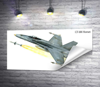 Канадский многоцелевой истребитель McDonnell Douglas CF-18 Hornet