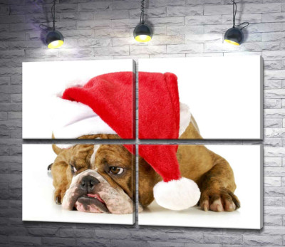 Модульна картина "Бульдог у червоній шапці Санти"