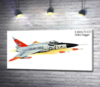 Convair F-102 Delta Dagger - літак-винищувач американського виробництва