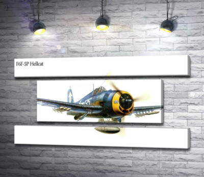 Модульна картина ""Пекельний кіт" - американський палубний винищувач Grumman F6F Hellcat"