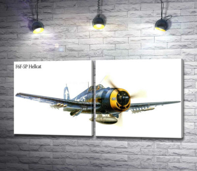 Модульная картина ""Адский кот" - американский палубный истребитель Grumman F6F Hellcat"