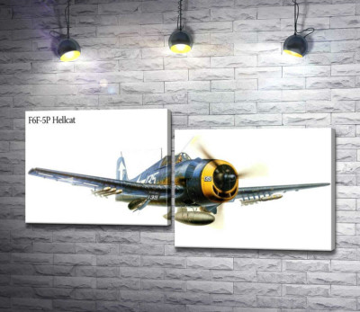 "Пекельний кіт" - американський палубний винищувач Grumman F6F Hellcat