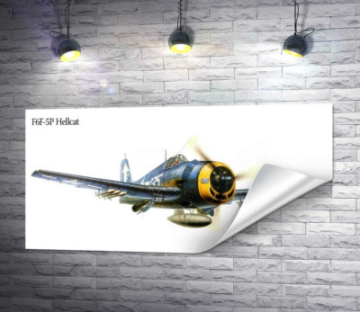 "Адский кот" - американский палубный истребитель Grumman F6F Hellcat