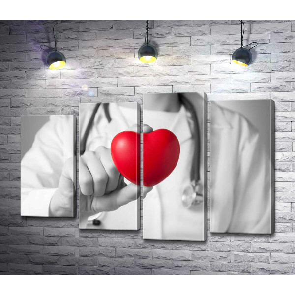 Лікар тримає в руці червоне серце