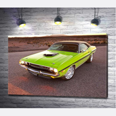 Яскравий автомобіль Dodge Challenger на дорозі серед пустелі